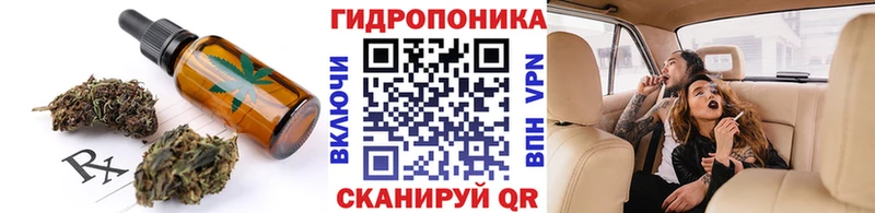 Купить закладки  Касли  Cannafood конопля 