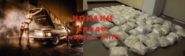 PSILOCYBIN Козловка