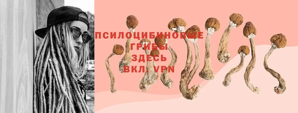 PSILOCYBIN Козловка
