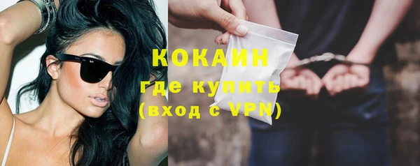 PSILOCYBIN Козловка