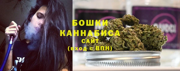 PSILOCYBIN Козловка