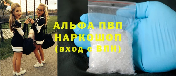 PSILOCYBIN Козловка