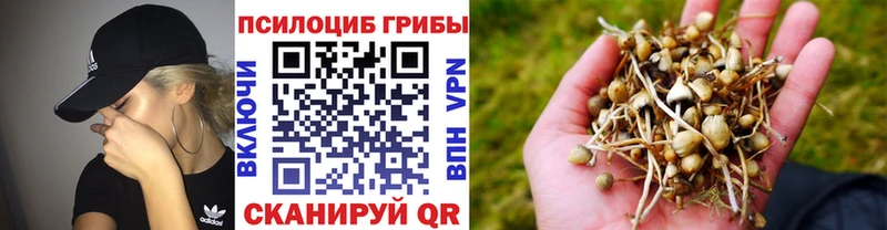 Галлюциногенные грибы ЛСД  Купить закладки  Касли 